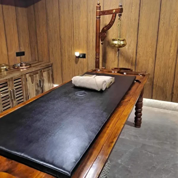 Single-Door Steam Bath Chamber - Image 3