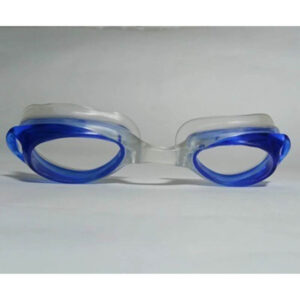 Netra Tharpana (Goggles)