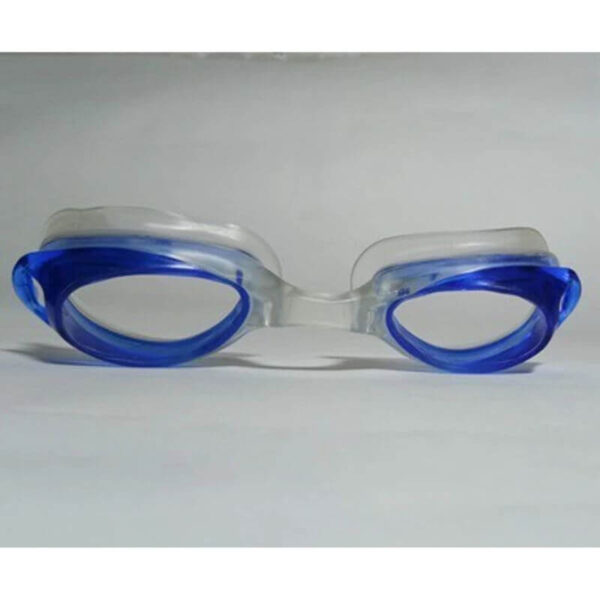 Netra Tharpana (Goggles)
